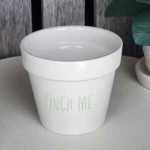 ceramic white succulent pot "Pinch Me" fraise painted in light green